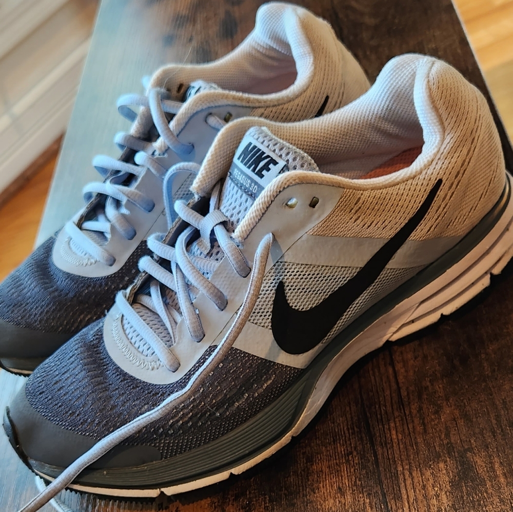 Womens Nike Pegasus 30